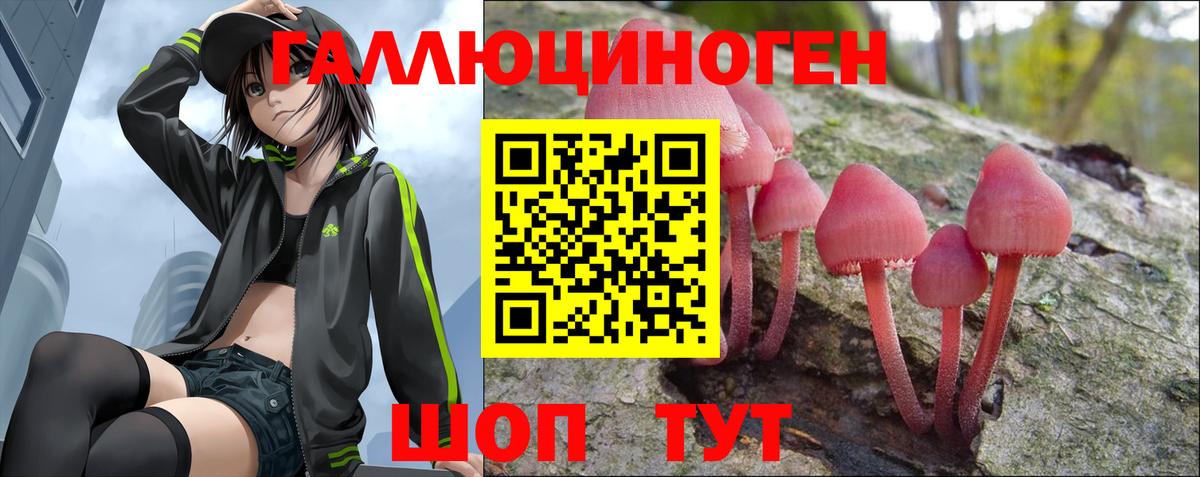Галлюциногенные грибы ЛСД Торжок